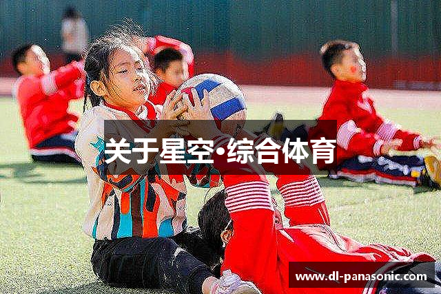 关于星空·综合体育
